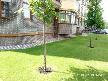 Фото номера Апартаменты с балконом Апартаменты Luxury Emerald Apartments г. Ирпень 41