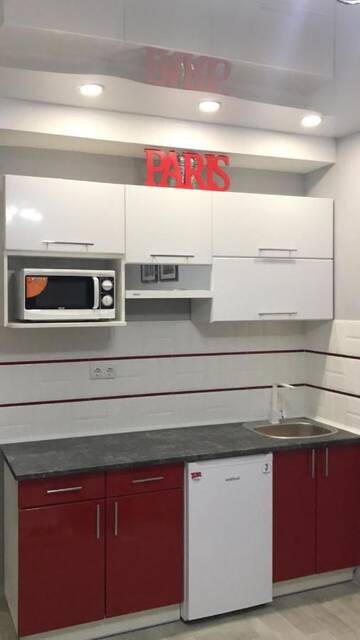 Фото номера Апартаменты-студио Апартаменты Apartment Studio PARIS 2 г. Ирпень 7